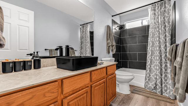 203 Elderberry Drive, Fruita, CO 81521