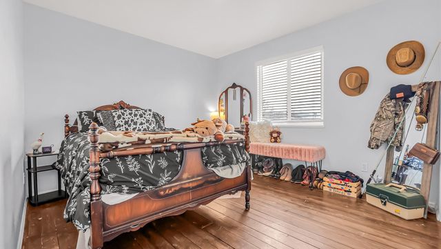 203 Elderberry Drive, Fruita, CO 81521