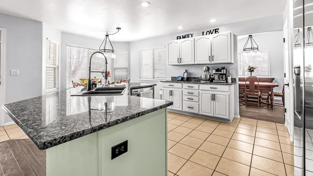 203 Elderberry Drive, Fruita, CO 81521