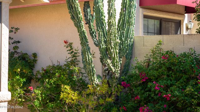 310 E Highcourte Lane, Tucson, AZ 85737
