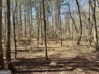 555 Larmon Forks Road, Dahlonega, GA 30533