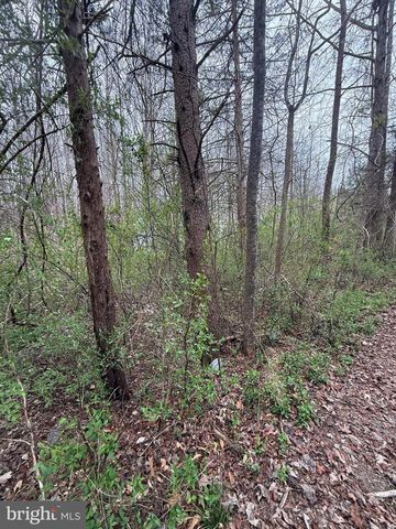 5300 HAMS FORD RD, Woodford, VA 22580