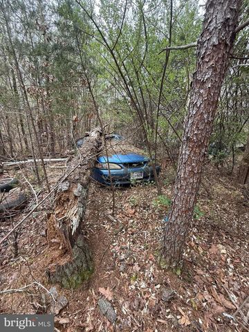 5300 HAMS FORD RD, Woodford, VA 22580