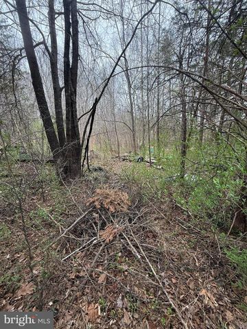 5300 HAMS FORD RD, Woodford, VA 22580