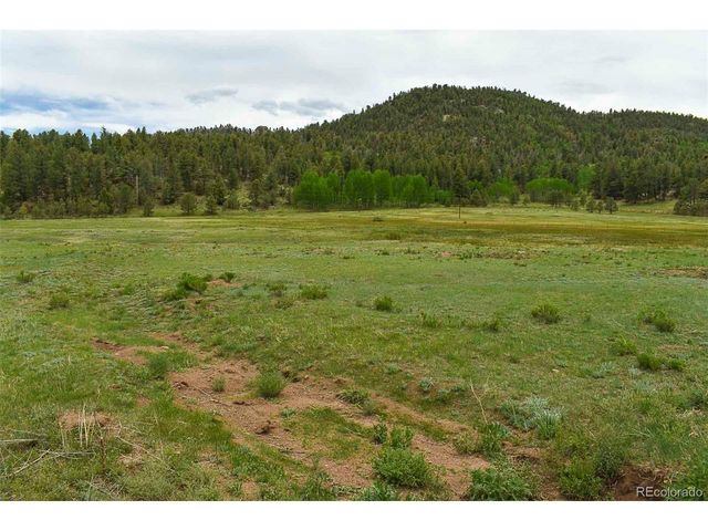 729 Valley Dr, Guffey, CO 80820