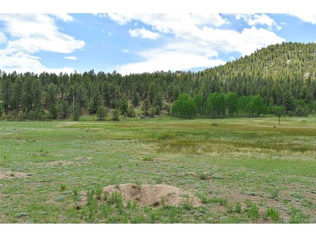 729 Valley Dr, Guffey, CO 80820