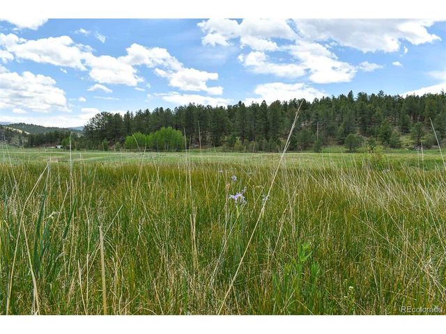 729 Valley Dr, Guffey, CO 80820