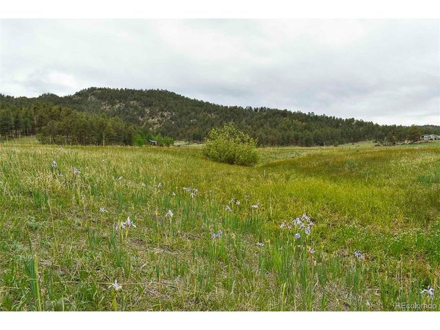 729 Valley Dr, Guffey, CO 80820