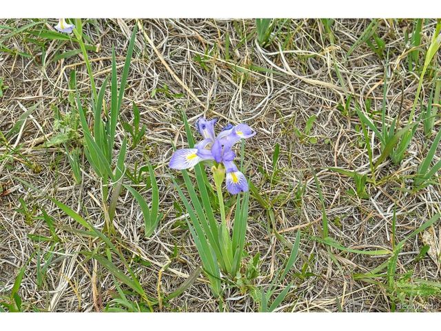 729 Valley Dr, Guffey, CO 80820