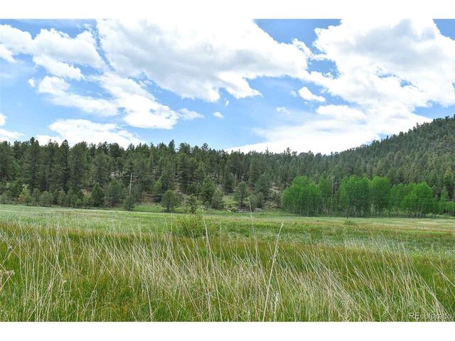729 Valley Dr, Guffey, CO 80820
