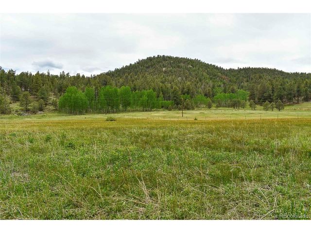 729 Valley Dr, Guffey, CO 80820