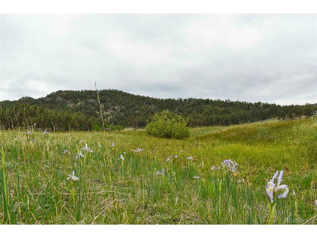 729 Valley Dr, Guffey, CO 80820