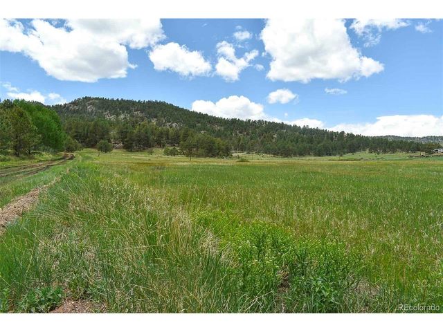 729 Valley Dr, Guffey, CO 80820