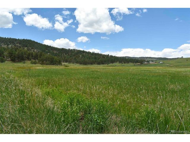 729 Valley Dr, Guffey, CO 80820