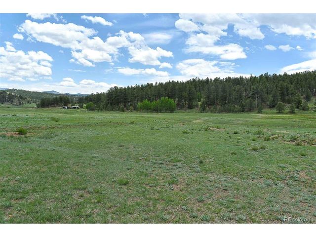 729 Valley Dr, Guffey, CO 80820