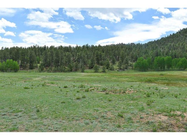 729 Valley Dr, Guffey, CO 80820