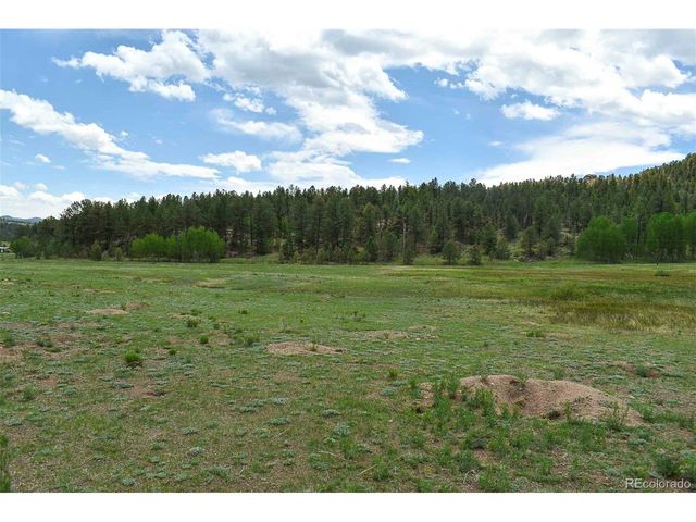 729 Valley Dr, Guffey, CO 80820