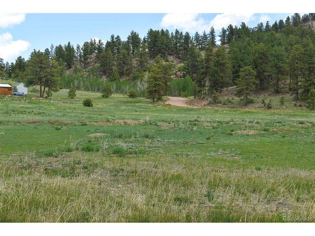 729 Valley Dr, Guffey, CO 80820