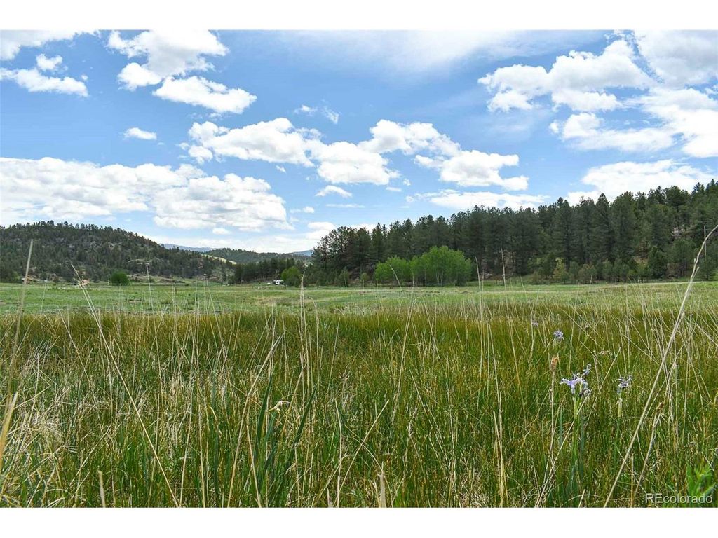 729 Valley Dr, Guffey, CO 80820