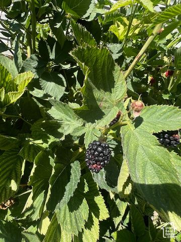 755 W 130 N, Parowan, UT 84761