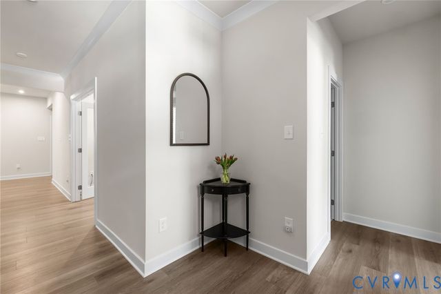 6249 Deer Summit Ct, Moseley, VA 23120