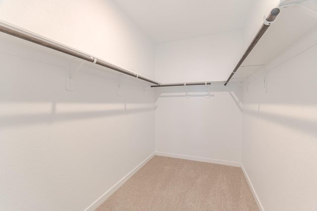 6812 Hart Oak Court, Conroe, TX 77304