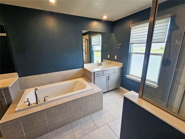 19403 BLUE POND DRIVE, Lutz, FL 33558