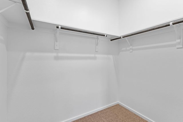 242 Orchard Laurel Drive, Alvin, TX 77511