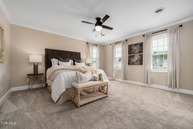 127 Jack Martin Lane, Gray, TN 37615