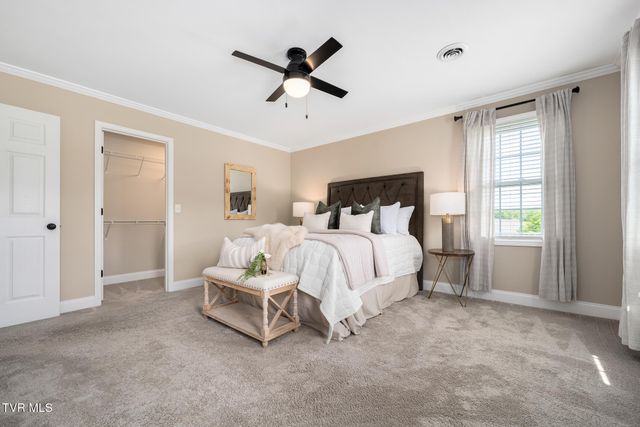 127 Jack Martin Lane, Gray, TN 37615