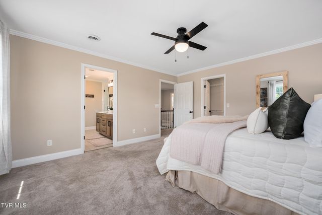 127 Jack Martin Lane, Gray, TN 37615