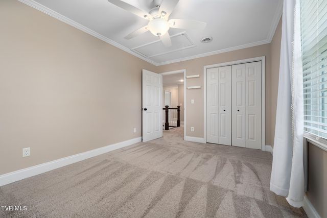 127 Jack Martin Lane, Gray, TN 37615