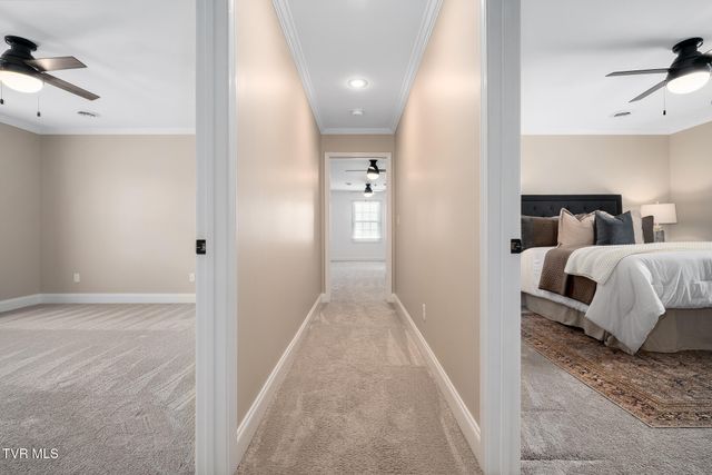 127 Jack Martin Lane, Gray, TN 37615