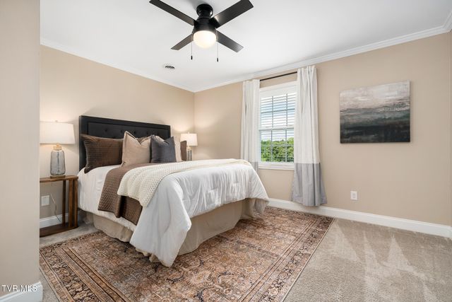 127 Jack Martin Lane, Gray, TN 37615