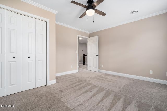 127 Jack Martin Lane, Gray, TN 37615