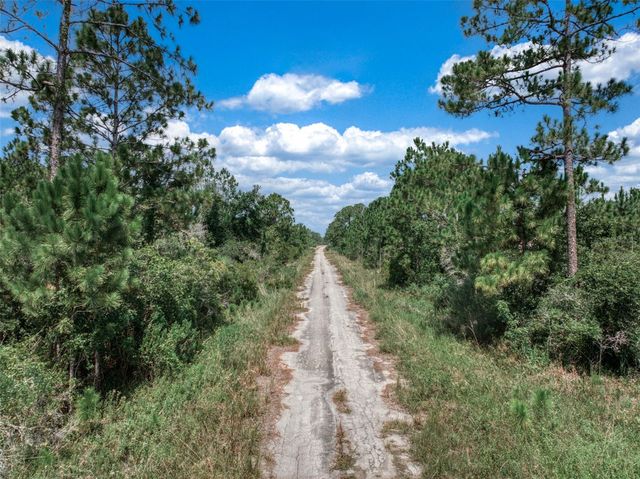 3341 & 3343 PHEASANT AVENUE, Lake Placid, FL 33852