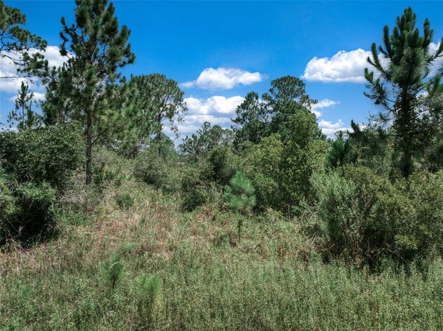 3341 & 3343 PHEASANT AVENUE, Lake Placid, FL 33852