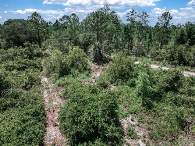 3341 & 3343 PHEASANT AVENUE, Lake Placid, FL 33852