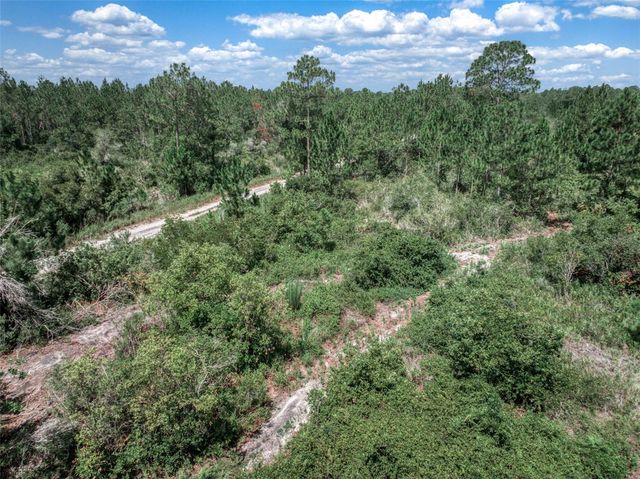 3341 & 3343 PHEASANT AVENUE, Lake Placid, FL 33852