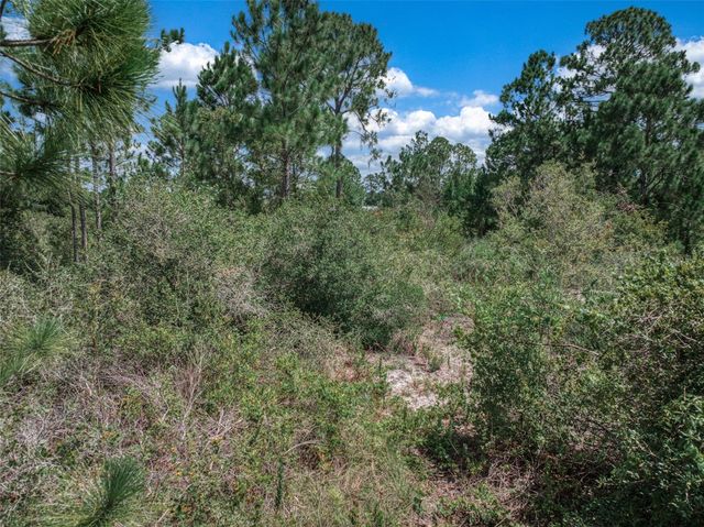 3341 & 3343 PHEASANT AVENUE, Lake Placid, FL 33852