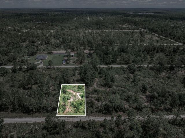 3341 & 3343 PHEASANT AVENUE, Lake Placid, FL 33852