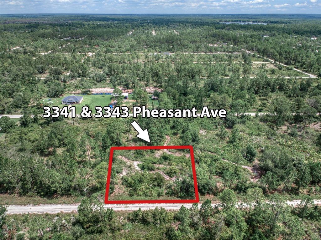 3341 & 3343 PHEASANT AVENUE, Lake Placid, FL 33852