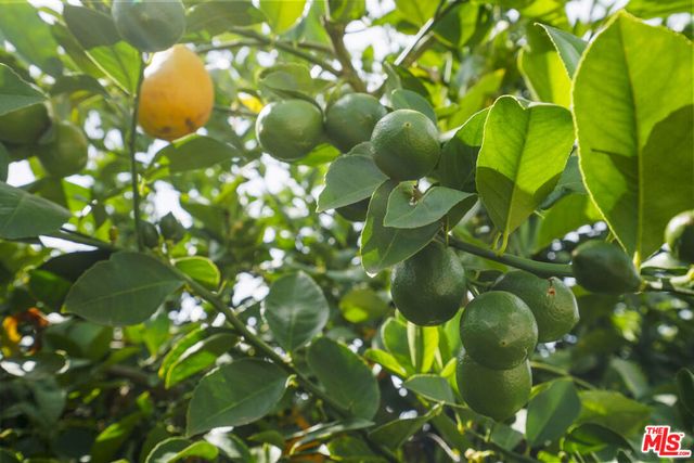 7017 Vicky Avenue, West Hills, CA 91307