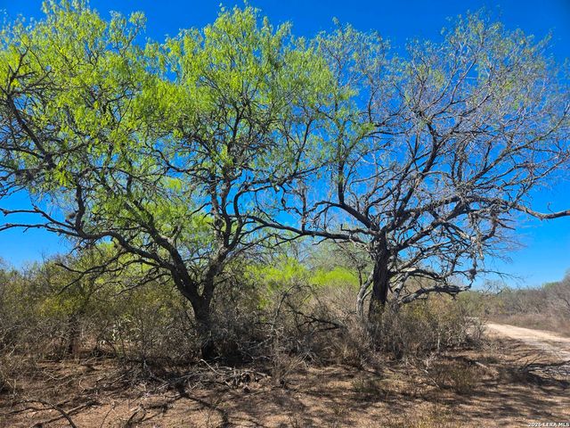 9239 CR 123, Pawnee, TX 78145