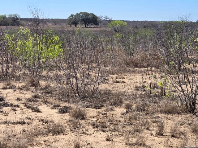 9239 CR 123, Pawnee, TX 78145