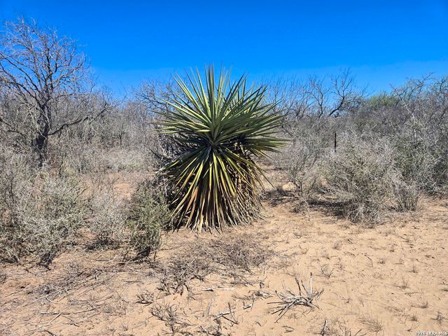 9239 CR 123, Pawnee, TX 78145