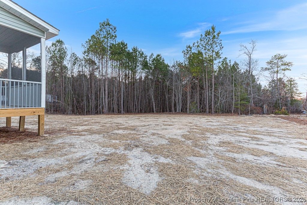9380 NC 27 W, Lillington, NC 27546 — photo 24