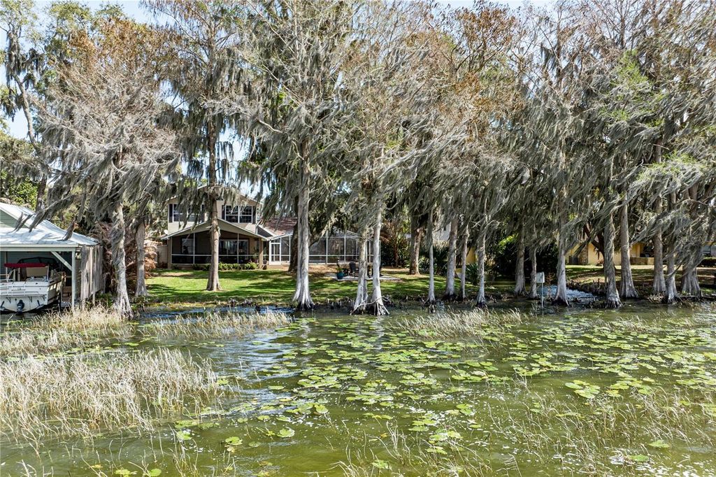 Image 58 of property listing at 11322 DEAD RIVER ROAD, Tavares, FL 32778