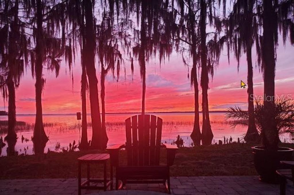 Image 8 of property listing at 11322 DEAD RIVER ROAD, Tavares, FL 32778