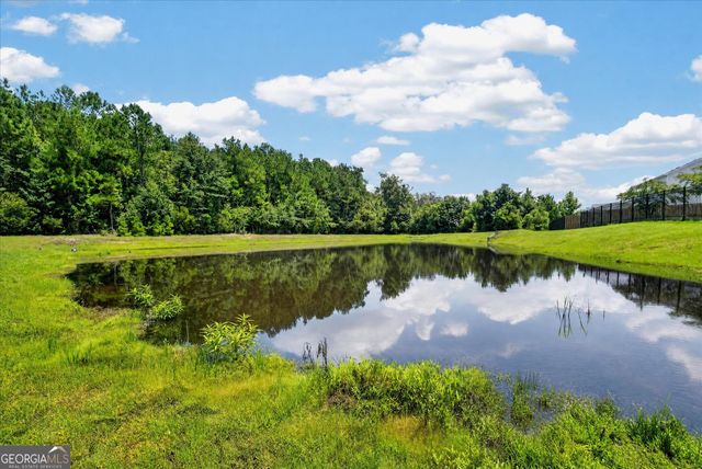 20 Nettleton Lane, Richmond Hill, GA 31324
